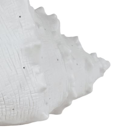 ONLI - Επιτραπέζιο φωτιστικό PORCELLANA 1xE14/6W/230V, 29 εκ., κοχύλι