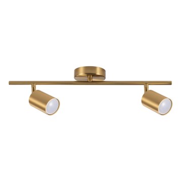 Σποτ φωτιστικό GOLDIE 2xGU10/10W/230V, χρυσό