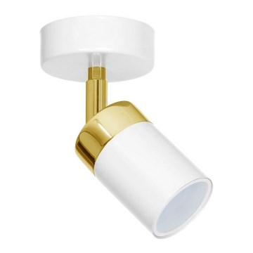 Σποτ φωτιστικό JOKER 1xGU10/25W/230V λευκό/χρυσό
