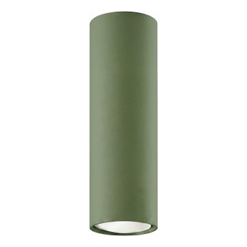 Σποτ φωτιστικό LAGOS 1xGU10/10W/230V 20 cm πράσινο