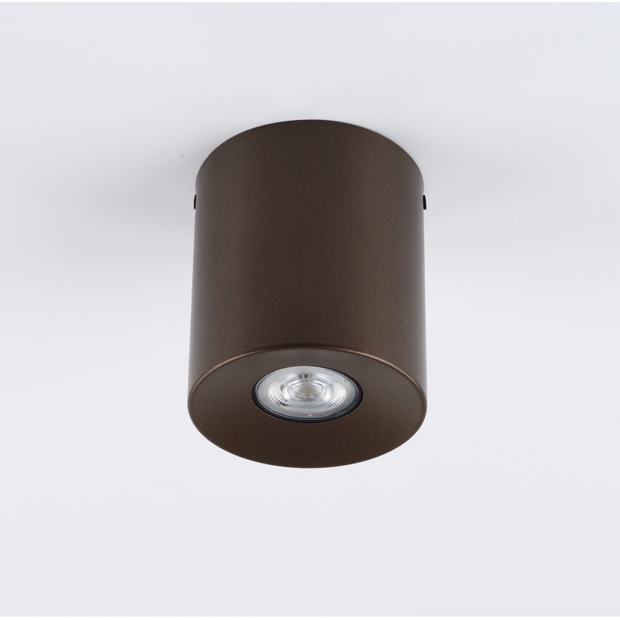 Σποτ φωτιστικό ORION 1xGU10/10W/230V 12,5 cm καφέ