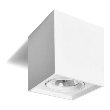 Σποτ φωτιστικό QUANDO G53/50W/12V