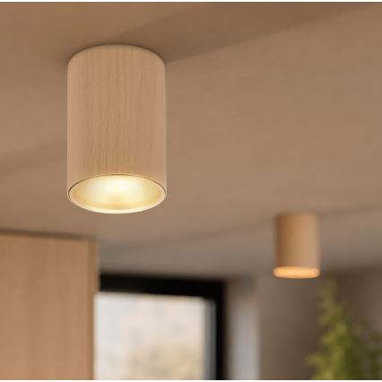 Σποτ φωτιστικό TUBE 1xGU10/15W/230V μπεζ