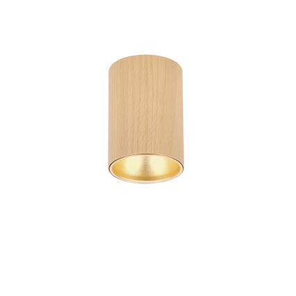 Σποτ φωτιστικό TUBE 1xGU10/15W/230V μπεζ