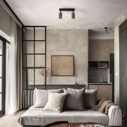 Σποτ φωτιστικό TUNE 2xGU10/10W/230V μαύρο/καφέ