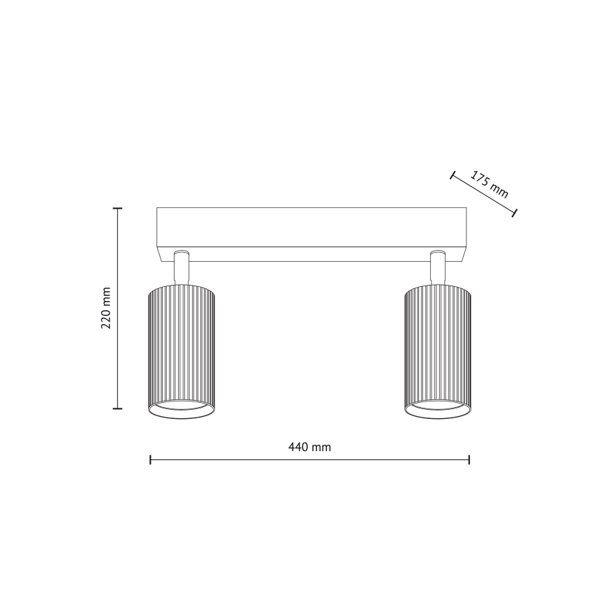 Σποτ φωτιστικό TUNE 2xGU10/10W/230V μαύρο/καφέ