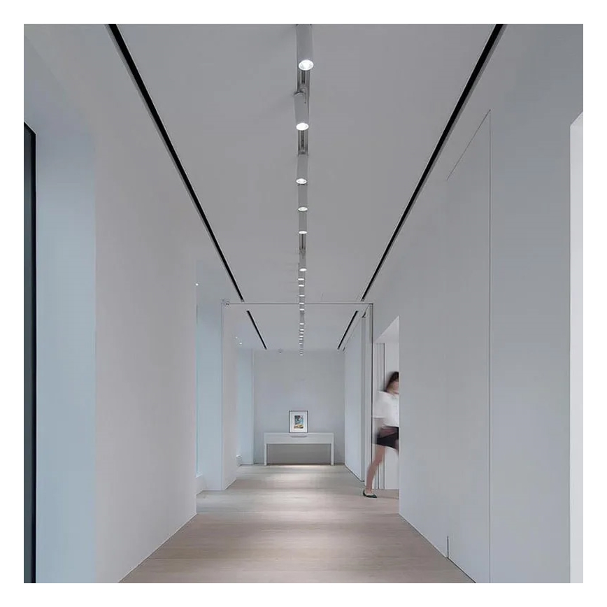 Σποτ φωτισμού για μονοφασικό σύστημα ράγας 1xGU10/10W/230V λευκό