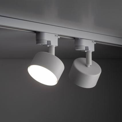 Φωτιστικό σποτ για 1-phase ράγας AVIA 1xGX53/15W/230V λευκό