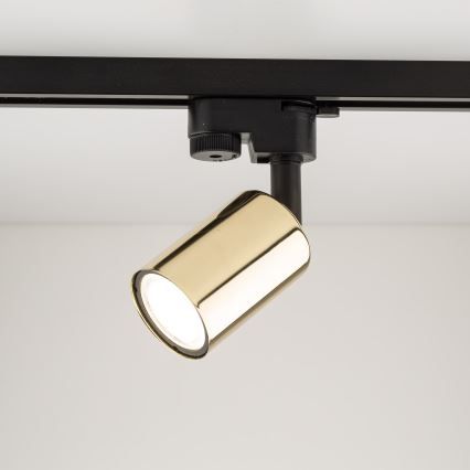 Σποτ ράγας TOP 1xGU10/10W/230V χρυσό/μαύρο