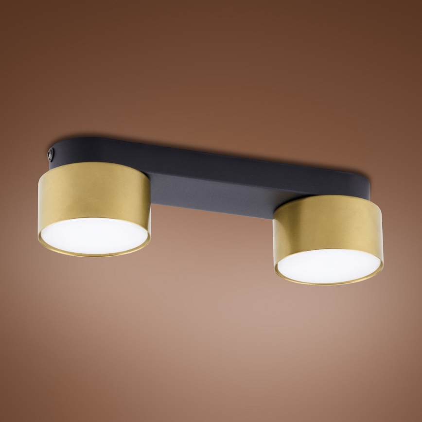 Σποτ SPACE GOLD 2xGX53/15W/230V