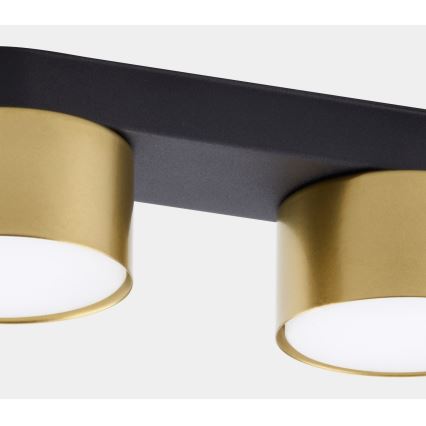 Σποτ SPACE GOLD 2xGX53/15W/230V