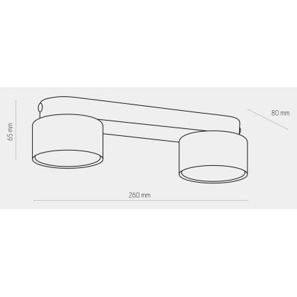 Σποτ SPACE GOLD 2xGX53/15W/230V