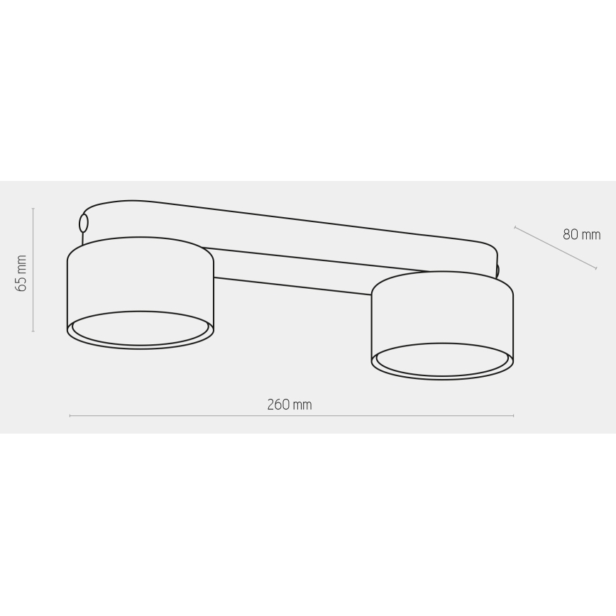 Σποτ SPACE GOLD 2xGX53/15W/230V