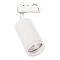 Σποτ για μονοφασικό σύστημα ράγας PIPE 1xGU10/10W/230V λευκό