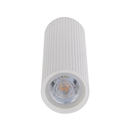 Σποτ οροφής TUNE M 1xGU10/10W/230V 17 cm λευκό