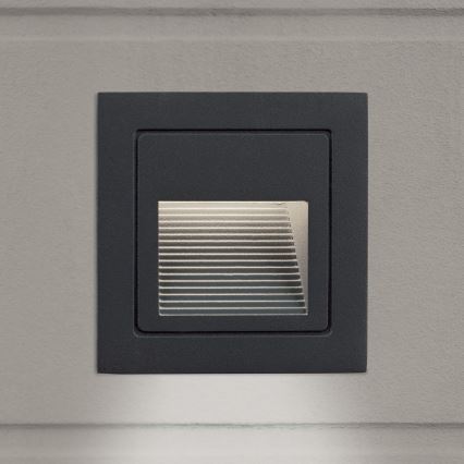 Ενσωματωμένο φωτιστικό LED LORO LED/2W/230V IP65 ανθρακί