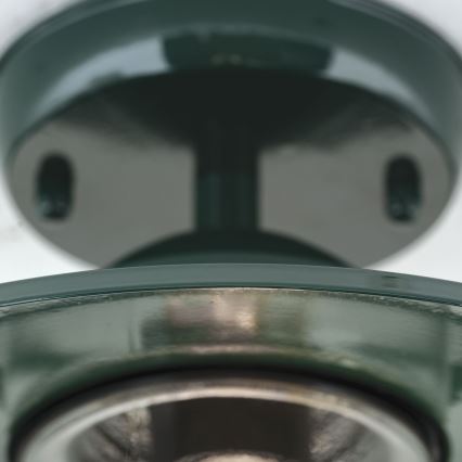 Πλαφονιέρα εξωτερικού χώρου EDWARD 1xE27/60W/230V IP44 πράσινο