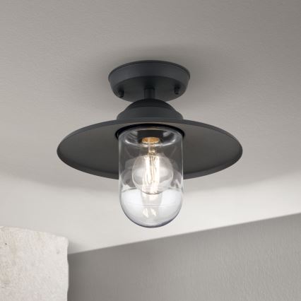 Πλαφονιέρα εξωτερικού χώρου EDWARD 1xE27/60W/230V IP44 μαύρο