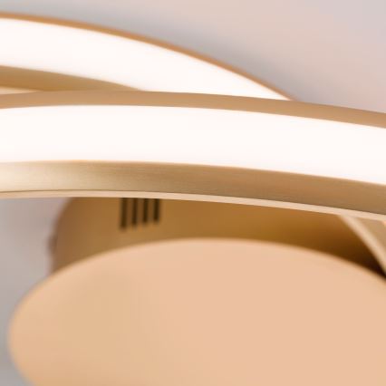 LED Dimmable φωτιστικό οροφής CIRCUS LED/30W/230V χρυσό