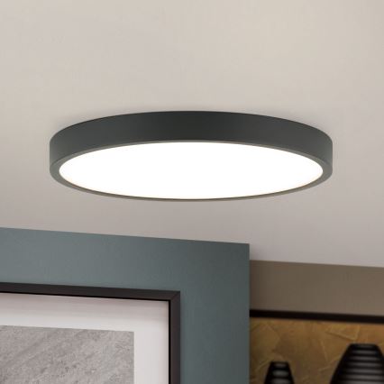 Φωτιστικό οροφής LED BULLY LED/24W/230V διάμετρος 24 cm μαύρο