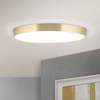 Φωτιστικό οροφής LED BULLY LED/28W/230V διάμετρος 28 cm χρυσό
