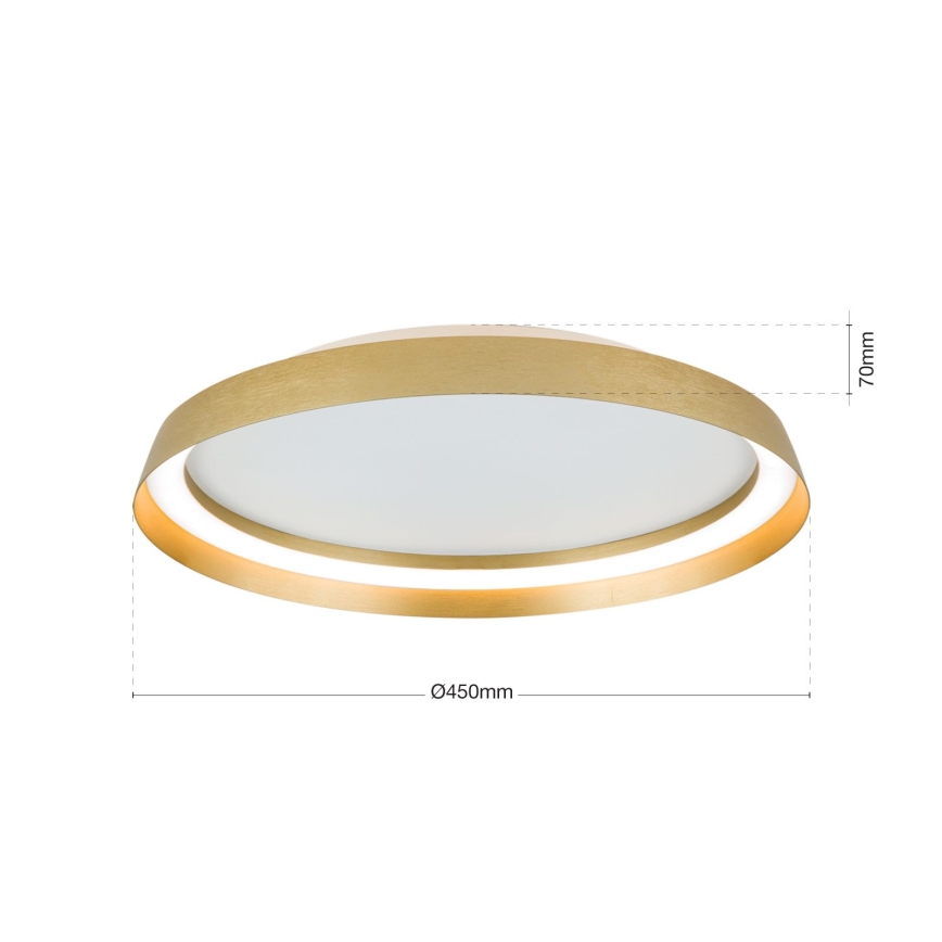 LED Dimmable φωτιστικό οροφής MANTA LED/38W/230V 2700/3000/4000K διάμετρος 45 cm χρυσό