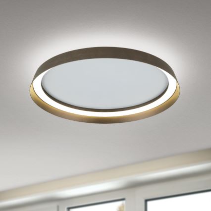 LED Dimmable φωτιστικό οροφής MANTA LED/38W/230V 2700/3000/4000K διάμετρος 45 cm καφέ