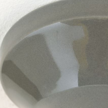 Φωτιστικό οροφής FROST 1xE27/60W/230V γκρι