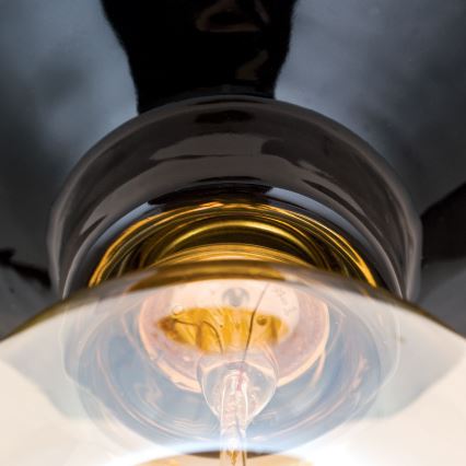 Φωτιστικό οροφής FROST 1xE27/60W/230V μαύρο