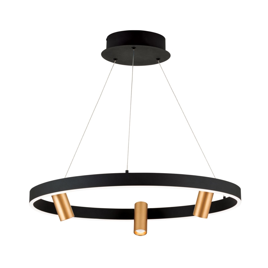 Led Dimmable κρεμαστό φωτιστικό οροφής BERLIN LED/50W/230V μαύρο/χρυσό