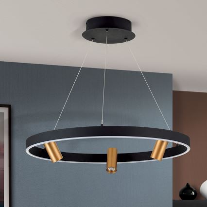 Led Dimmable κρεμαστό φωτιστικό οροφής BERLIN LED/50W/230V μαύρο/χρυσό