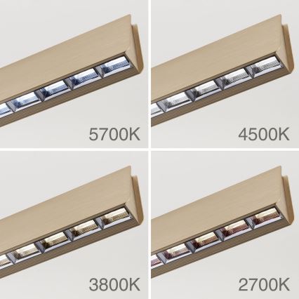 Led Dimmable κρεμαστό φωτιστικό οροφής TARA LED/44W/230V 2700/3800/4500/5700K χρυσό
