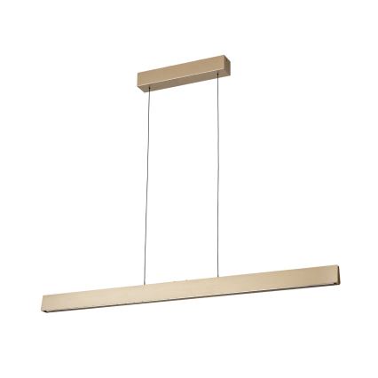 Ρυθμιζόμενο LED φωτιστικό οροφής με καλώδιο TARA LED/44W/230V 2700/3800/4500/5700K χρυσό