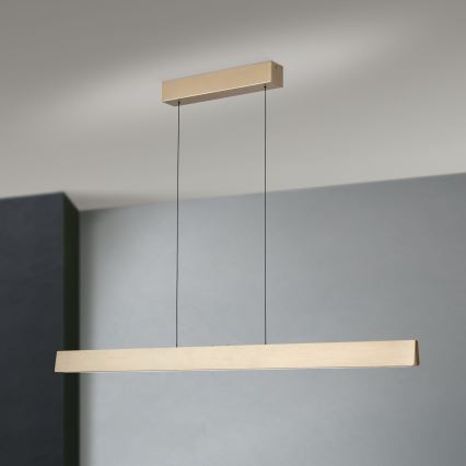 Ρυθμιζόμενο LED φωτιστικό οροφής με καλώδιο TARA LED/44W/230V 2700/3800/4500/5700K χρυσό