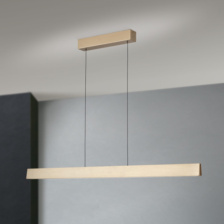 Ρυθμιζόμενο LED φωτιστικό οροφής με καλώδιο TARA LED/44W/230V 2700/3800/4500/5700K χρυσό