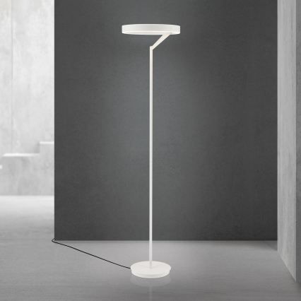 Ρυθμιζόμενη επιδαπέδια λάμπα LED KOLK LED/40W/230V 2700/4000K λευκή