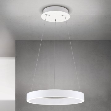 Orion - LED Ρυθμιζόμενο κρεμαστό φωτιστικό σε καλώδιο KOLK LED/40W/230V 2700/3000/4000K διάμ. 40 cm λευκό