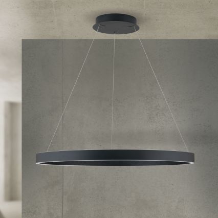 Orion - Ρυθμιζόμενο LED κρεμαστό φωτιστικό με καλώδιο KOLK LED/80W/230V 2700/3000/4000K Ø 80 cm μαύρο