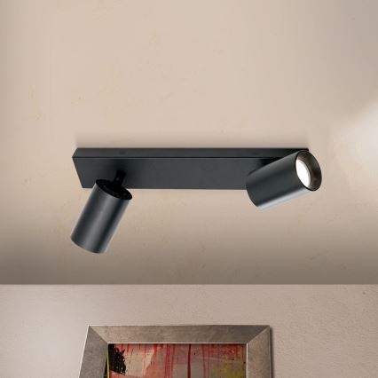 Σποτ φωτιστικό SEAN 2xGU10/13W/230V μαύρο