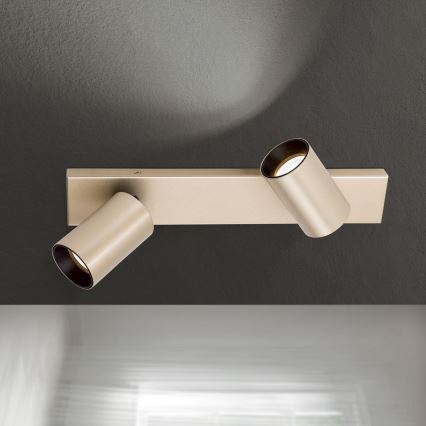 Σποτ φωτιστικό SEAN 2xGU10/13W/230V χρυσό