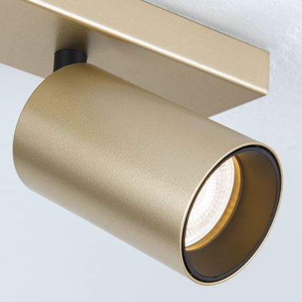 Σποτ φωτιστικό SEAN 4xGU10/13W/230V χρυσό