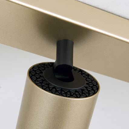 Orion - Σποτ φωτιστικό SEAN 6xGU10/13W/230V χρυσό