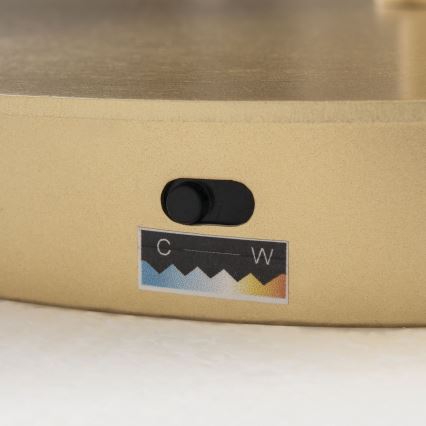 LED Ρυθμιζόμενο επιδαπέδιο φωτιστικό KOLK LED/40W/230V 2700/4000K χρυσό