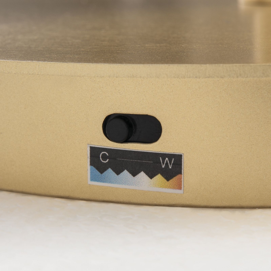 LED Ρυθμιζόμενο επιδαπέδιο φωτιστικό KOLK LED/40W/230V 2700/4000K χρυσό