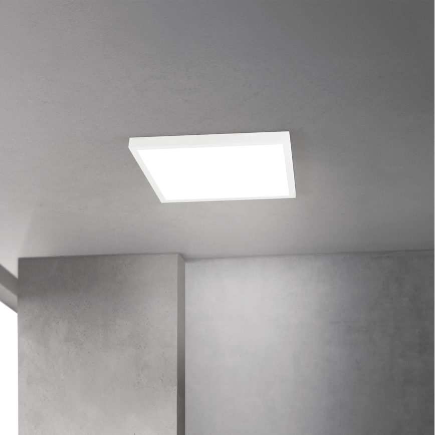 Ρυθμιζόμενο LED φωτιστικό οροφής DISC LED/30W/230V 2700/3000/4000K 39x39 cm λευκό