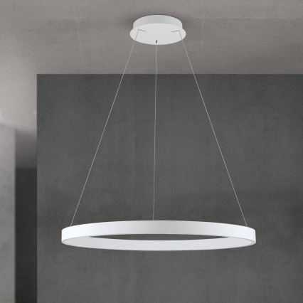 LED ρυθμιζόμενο κρεμαστό φωτιστικό σε καλώδιο KOLK LED/80W/230V 2700/3000/4000K pr. 80 cm λευκό