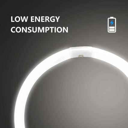 Σωλήνας φθορισμού T9 G10q/40W/230V 6500K - Aigostar