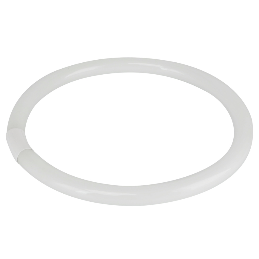 Σωλήνας φθορισμού T9 G10q/40W/230V 6500K - Aigostar