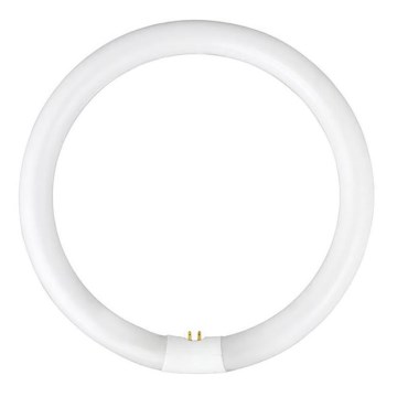 Σωλήνας φθορισμού YH G10q/28W/230V 6500K - Fulgur 03045 διάμετρος 23 cm