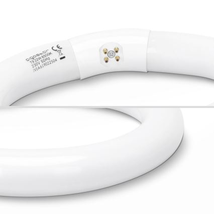 Σωλήνας φθορίου T9 G24q-1/22W/230V 6500K - Aigostar